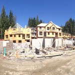 Bridlewood4