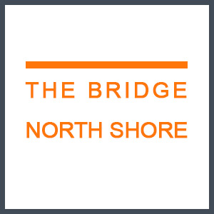 The Bridge