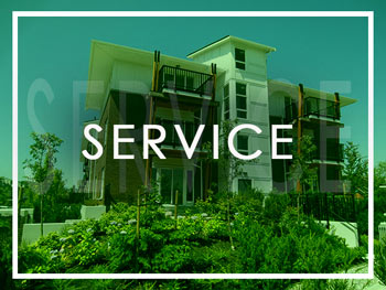 Our Services